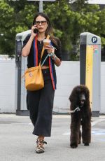 JORDANA BREWSTER Out with Her Dog to Caffe Luxxe in Pacific Palisades 10/12/2022