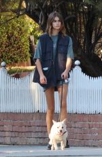 KAIA GERBER Out with Her Dog in Los Angeles 10/17/2022