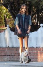 KAIA GERBER Out with Her Dog in Los Angeles 10/17/2022