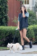 KAIA GERBER Out with Her Dog in Los Angeles 10/17/2022