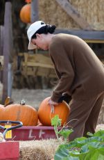 KATY PERRY at a Pumpkin Patch in Los Angeles 10/07/2022