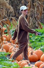 KATY PERRY at a Pumpkin Patch in Los Angeles 10/07/2022