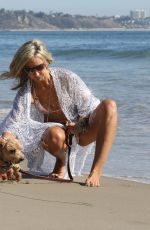 LADY VICTORIA HERVEY in Bikini Out with Her Dog at a Beach in Malibu 10/29/2022