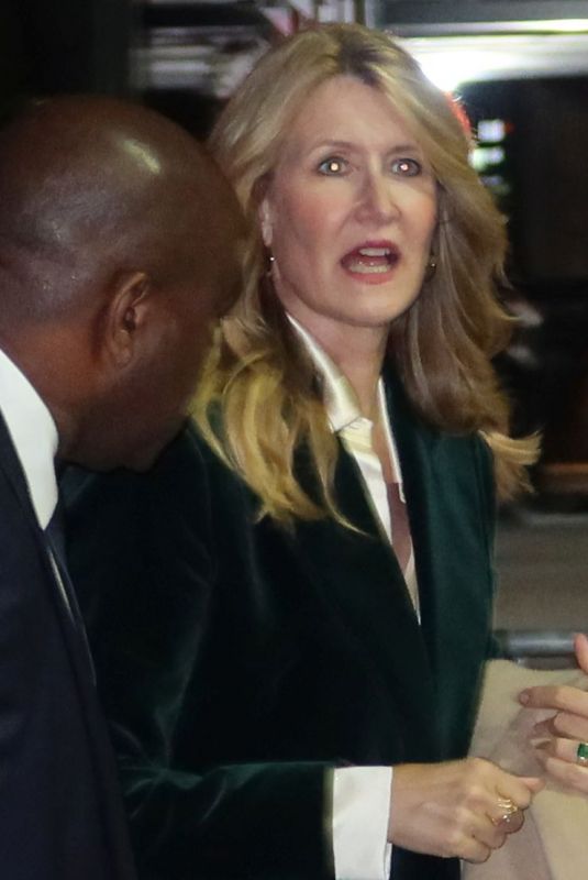 LAURA DERN Arrives at Real Pieces with Annette Insdorf Screening at 92Y in New York 10/23/2022