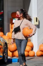 MILA KUNIS Shopping for Pumpkins at Jayde