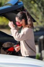 MILA KUNIS Shopping for Pumpkins at Jayde