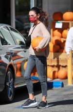 MILA KUNIS Shopping for Pumpkins at Jayde