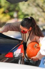 MILA KUNIS Shopping for Pumpkins at Jayde