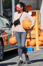MILA KUNIS Shopping for Pumpkins at Jayde