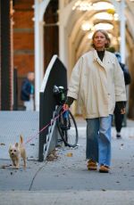 NAOMI WATTS Out with Her Dog in New York 10/27/2022