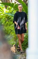 NINA AGDAL Out with Her Dog in Miami Beach 10/25/2022