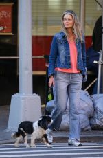 PAULINA PORIZKOVA Out with Her Dog in New York 10/09/2022