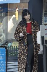 Pregnant DAISY LOWE Out with Her Dog in Primrose Hill 10/13/20022