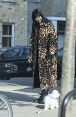 Pregnant DAISY LOWE Out with Her Dog in Primrose Hill 10/13/20022