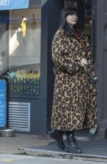 Pregnant DAISY LOWE Out with Her Dog in Primrose Hill 10/13/20022