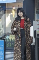 Pregnant DAISY LOWE Out with Her Dog in Primrose Hill 10/13/20022