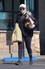 RBEL WILSON Out Shopping at Gelson