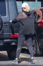 RBEL WILSON Out Shopping at Gelson