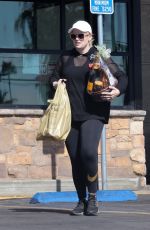 RBEL WILSON Out Shopping at Gelson