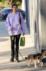 SARA SAMPAIO Out Shopping for Dog Food at Healthy Spot Natural Pet Store in Los Angeles 10/25/2022