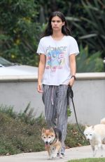 SARA SAMPAIO Out with Her Dogs in Los Angeles 10/13/2022