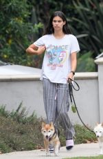 SARA SAMPAIO Out with Her Dogs in Los Angeles 10/13/2022