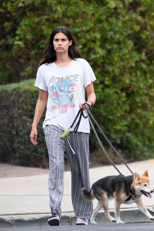 SARA SAMPAIO Out with Her Dogs in Los Angeles 10/13/2022