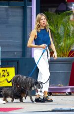 SIENNA MILLER Out with Her Dogs in New York 10/26/2022