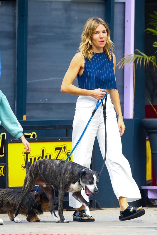 SIENNA MILLER Out with Her Dogs in New York 10/26/2022