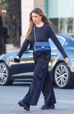 SOFIA VERGARA Out Shopping in Century City 10/26/2022