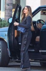 SOFIA VERGARA Out Shopping in Century City 10/26/2022