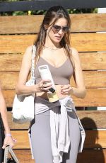 ALESSANDRA AMBROSIO Leaves a Private Gym in Beverly Hills 11/15/2022