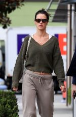 ALESSANDRA AMBROSIO Leaves Workout Session in West Hollywood 11/08/2022