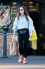 ALISON BRIE Out Shopping for Groceries in Los Feliz 11/20/2022