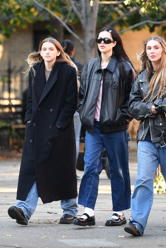 AMELIA HAMLIN Out with Friends in New York 11/09/2022