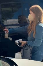 AMY ADAMS Out Shopping at The Grove in Los Angeles 10/30/2022