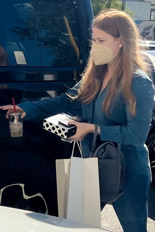 AMY ADAMS Out Shopping at The Grove in Los Angeles 10/30/2022