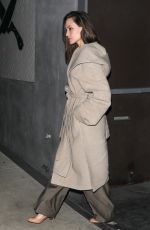ANGELINA JOLIE Night Out for Dinner at Crossroads in Los Angeles 11/20/2022