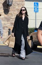 ANGELINA JOLIE Out Shopping for Groceries in Los Feliz 10/29/2022