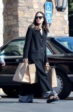 ANGELINA JOLIE Out Shopping for Groceries in Los Feliz 10/29/2022