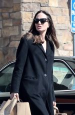 ANGELINA JOLIE Out Shopping for Groceries in Los Feliz 10/29/2022