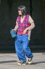 BILLI EILISH Heading to a meeting in Calabasas 11/15/2022