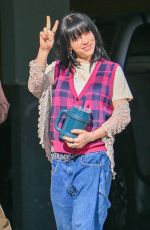 BILLI EILISH Heading to a meeting in Calabasas 11/15/2022