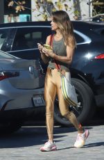 BROOKE BURKE Out Shopping for Groceries in Los Angeles 11/26/2022