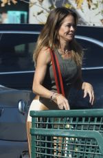 BROOKE BURKE Out Shopping for Groceries in Los Angeles 11/26/2022