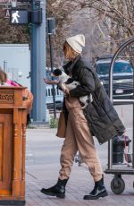 CARA DELEVINGNE Arrives in Aspen 11/13/2022