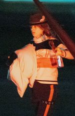 CARA DELEVINGNE at Private Airport in Van Nuys 11/15/2022