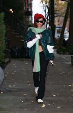 EMILY RATAJKOWSKI Out and About in Brooklyn 11/16/2022