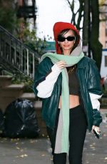 EMILY RATAJKOWSKI Out and About in Brooklyn 11/16/2022