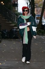 EMILY RATAJKOWSKI Out and About in Brooklyn 11/16/2022